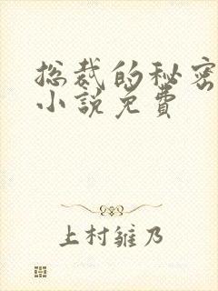 总裁的秘密情人小说免费