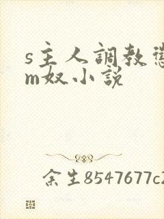 s主人调教惩罚m奴小说