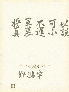 将军不可以魏云真慕迟小说笔趣阁