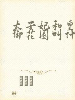 太子妃和皇帝在御花园叫什么小说封面