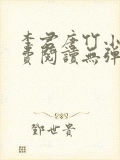 李君唐竹小说免费阅读无弹窗封面