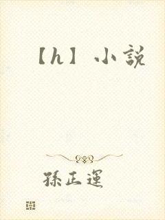 【h】小说