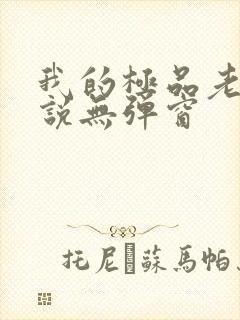 我的极品老婆小说无弹窗