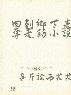 回到乡下老婆被夺走的小说