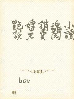 艳婢销魂小桃小说免费阅读