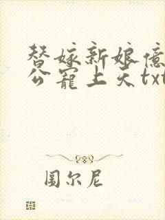 替嫁新娘亿万老公宠上天txt全文下载封面