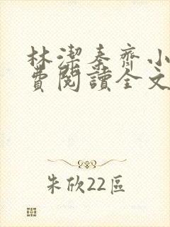 林洁秦齐小说免费阅读全文
