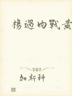 杨过肉战黄蓉