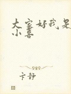 大家好我是叫林小喜封面