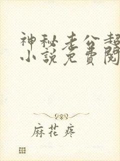 神秘老公超级甜小说免费阅读全文