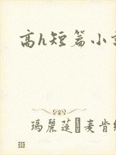 高h短篇小说
