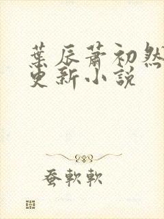 叶辰萧初然最快更新小说