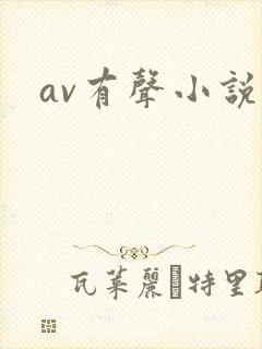 av有声小说封面