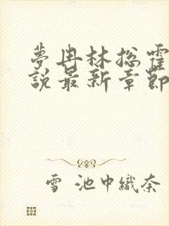梦冉林总霍总小说最新章节更新内容