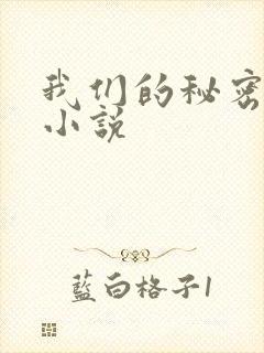 我们的秘密泰剧小说
