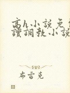 高h小说免费阅读调教小说免费阅读