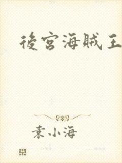 后宫海贼王