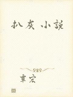 扒灰 小说封面
