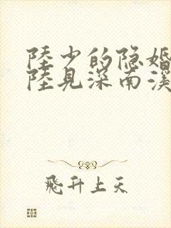 陆少的隐婚罪妻陆见深南溪封面