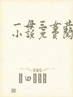 一母三女共一婿小说免费阅读
