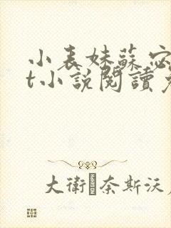 小表妹苏宓txt小说阅读免费