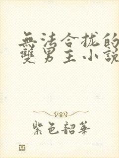 无法合拢的总裁双男主小说