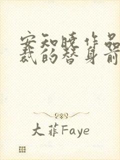安知晓作品:总裁的替身前妻全本下载封面