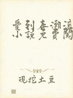 爱到春潮滚滚来小说免费阅读