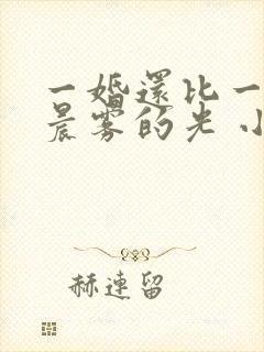 一婚还比一婚高晨雾的光 小说