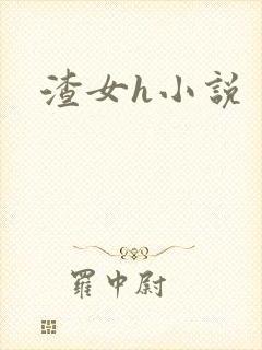 渣女h小说封面