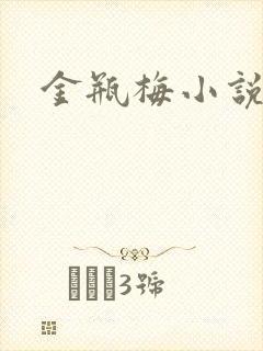 金瓶梅小说