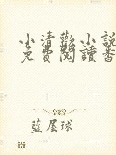 小清欢小说全文免费阅读番外