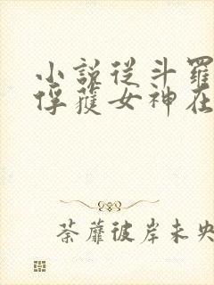 小说从斗罗开始俘获女神在线阅读全文