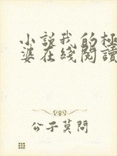 小说我的极品老婆在线阅读全文