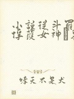 小说从斗罗开始俘获女神鞪慕完全版封面