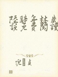 陆辞年林岁安小说免费阅读最新章节封面