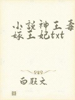 小说神王毒宠二嫁王妃txt