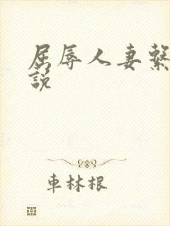 屈辱人妻系列小说