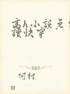 高h小说免费阅读快穿