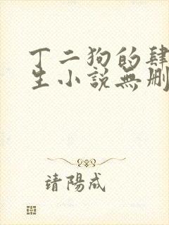 丁二狗的肆意人生小说无删减txt