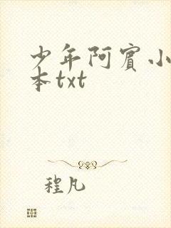 少年阿宾小说全本txt