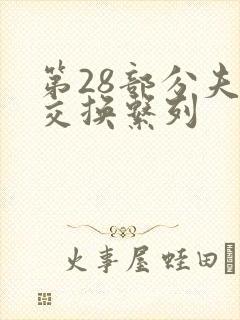 第28部分夫妇交换系列