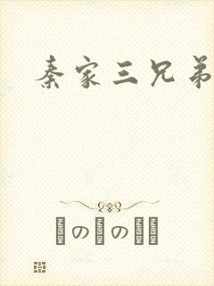 秦家三兄弟封面