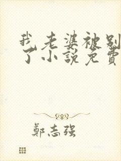 我老婆被别人操了小说免费阅读全文封面