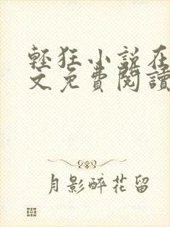 轻狂小说在线全文免费阅读封面