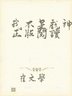 我不是戏神小说正版阅读