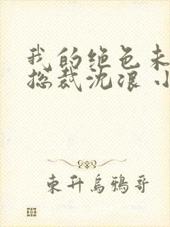 我的绝色未婚妻总裁沈浪 小说
