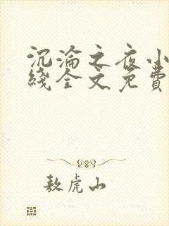 沉沦之夜小说在线全文免费阅读