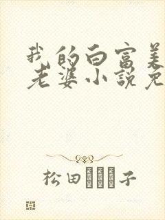 我的白富美总裁老婆小说免费阅读