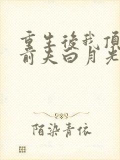 重生后我顶替了前夫白月光全封面